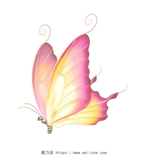 彩色手绘水彩蝴蝶动物PNG素材
